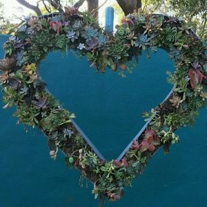 Meet your Posher, Desiree